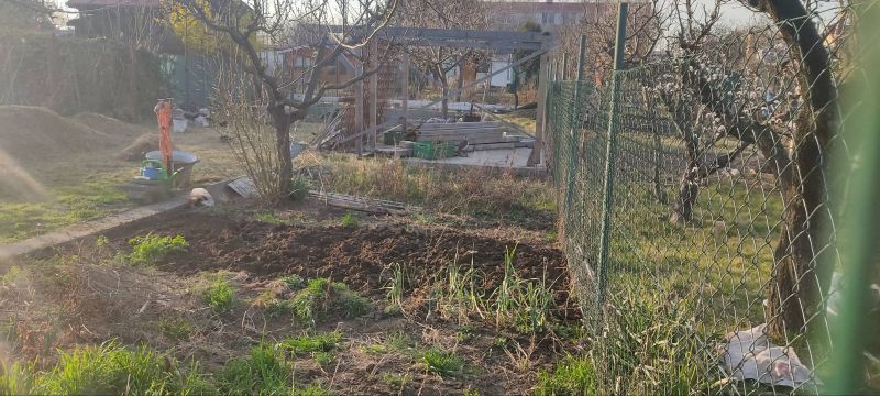 FOX - záhrada na predaj o výmere 252 m2 * Trnava * rekreačná oblasť Štrky - 6