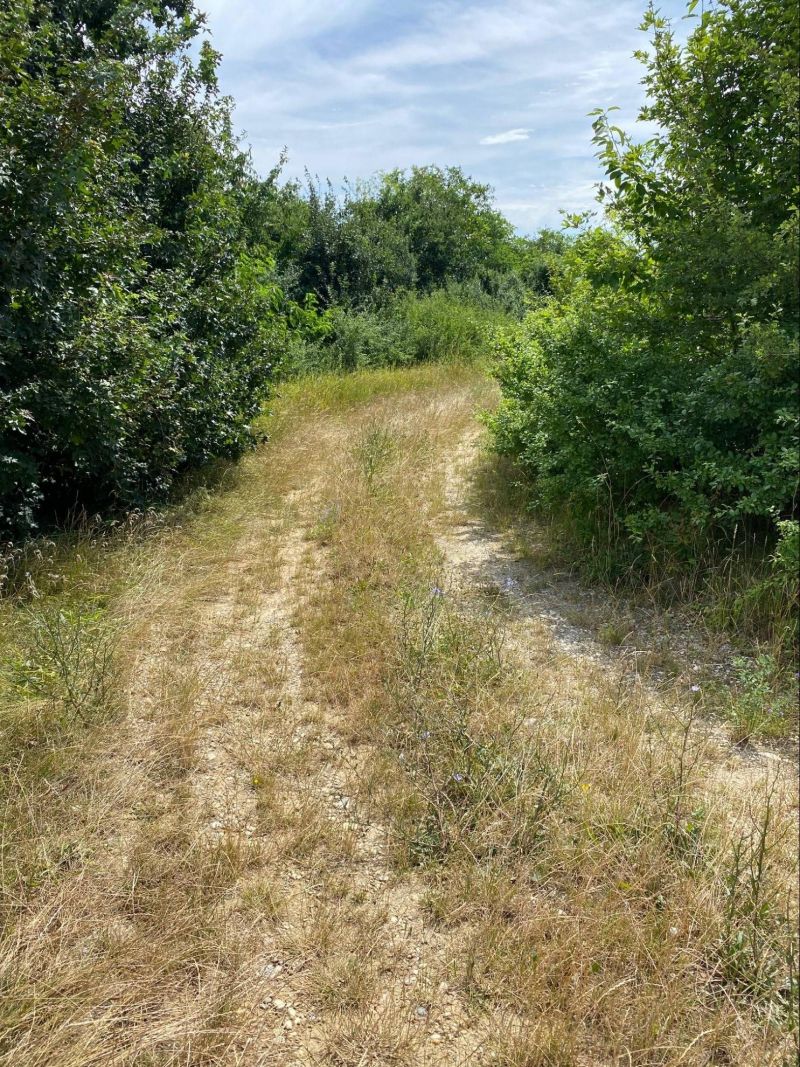 FOX - Ideálny pozemok pre rodinný dom v rozvíjajúcej sa časti obce Budmerice - 7